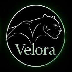Шлюха Velora 80536